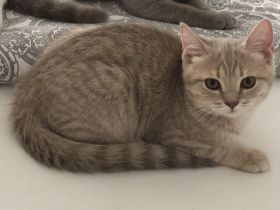 Hallo zusammen , leider und und mit gebrochenem Herz