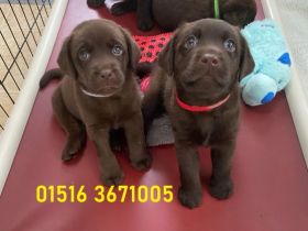 Will mich keiner? Einige meiner Geschwister haben eine