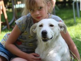 Hallo, hier sucht die Fellnase Polar nach seiner