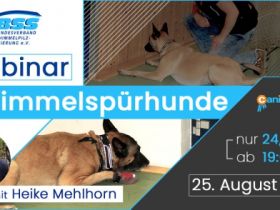 WEBINAR (online) - Schimmelspürhunde Ausbildung