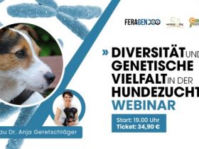 WEBINAR (online) - Genetische Diversität in der Hundezucht