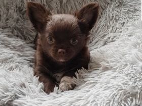 Am 2.06.22 haben unsere kleinen Diamanten problemlos