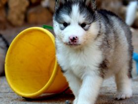 Ab 16.Aug haben wir aus dieser vorzüglichen Verbindung