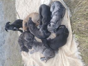 Hallo Unsere Mia hat am 15.05.2022 8 kleine knuffige