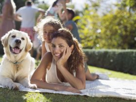 Ausbildung zum Hundetrainer DGHV Standard