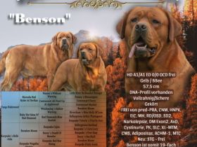 Rubywood Crimson Red Benson