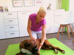 Tierheilpraktikerin Sonja Fuchs