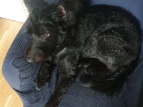 Durch meiner Arbeit kann ich mich nicht mehr richtig um