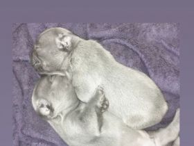 Liebe Grüße aus dem schönen Ungarn, wir haben