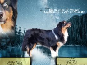 Fascination ID Black Deamon DNA-VP