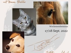 Wochenendseminar Tierkommunikation