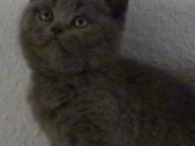 Der letzte sucht noch seinen Dosenöffner:) Er ist