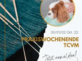 Seminar Praxiswochenende TCVM Fälleausarbeitung