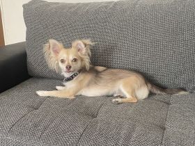 Stella, Hallo ich muss mich leider von schweren Herzen