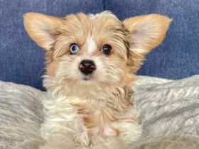 Unsere Babys sind was ganz besonders:-) Unsere