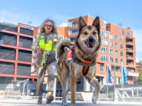 Trail & Shoot - Auf und ab im Treppenviertel Blankenese