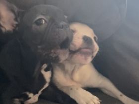 Es ist soweit.. wir haben uns lange davor gedrückt,