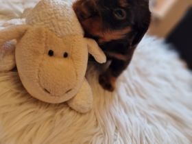 Udo, Hallo ihr Lieben. Ab Ende September habe ich eine