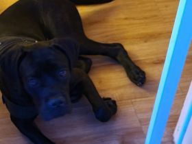 Wir müssen leider unsere Ria weg geben, aus