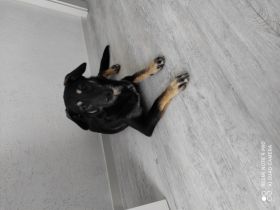 Zeus, Hallo, leider müssen wir aus familiären Gründen