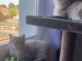 Hallo, wir müssen uns leider wegen Zeit mangeln von