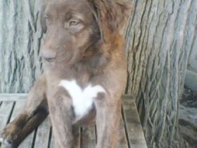 Die Welt wird immer schlimmer und die Hemmschwelle