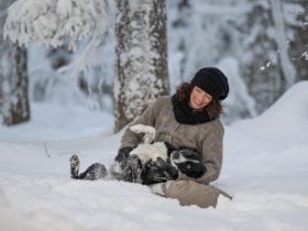Hundeschule CityDogs München