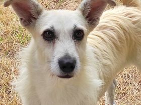 Lara wartet in 21769 Lamstedt Name Lara Geboren: 03.03