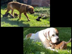 Wir wurden am 14.08.2022 geboren. Die Reise in unser