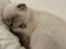 Hallo, ich muss leider meine Kleine aus Privaten