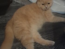 Bella und zoe, Muss mich aus persönlichen Gründen von