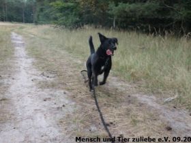 Huhu ihr da draußen! Ich bin Clark und habe eine Frage