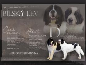 CHS Bílský lev akzeptiert Reservierungen für Landseer