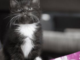 Moinsen, diese kleinen Wunderkrümel sind am 08.08.22