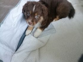 Ein herzliches Hallo, Wir sind eine bunte Truppe aus