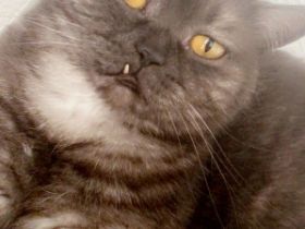 Leider müssen wir uns auch von unserem geliebten Pasa