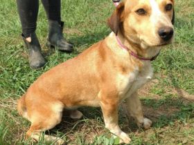 Otto- Wer erklärt mir die Menschenwelt?