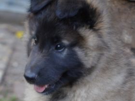 vom Motodrom seit 1982