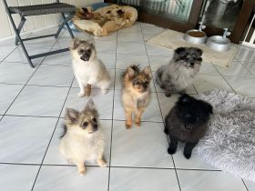 Halli hallo Ihr lieben da draußen! Wir sind eine