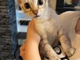 Unser Nesthäkchen darf uns verlassen