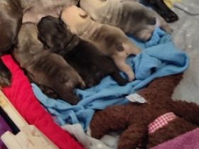 Unsere knutschbärchen sind am 20 Oktober geboren