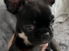 Leider ist die Zeit gekommen das wir uns schweren