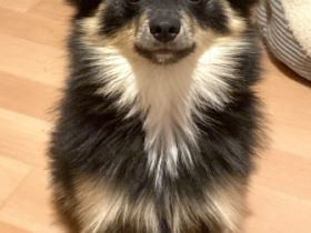 Spikey, Hallo, ich muss mich aus einigen privaten