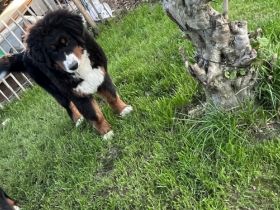 Unsere Kleine Emma ist ein halbes Jahr alt und