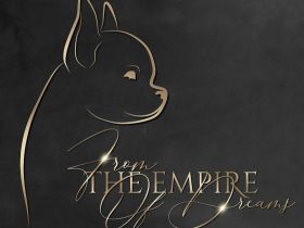 from the Empire of Dreams