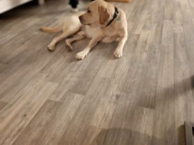 Wir müssen uns leider aus privaten Gründen von unserem