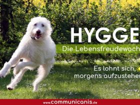 Hygge - die Lebensfreudewoche | 21.10.24