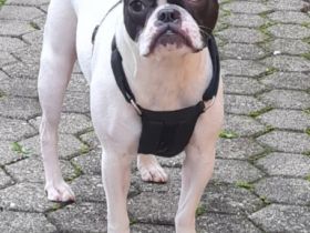 Miki, Leider müssen wir für unsere französische