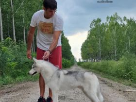 BELLAHUSK'S Le Roy, Unser Junge ist bereit für neues