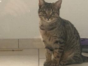 Lucky und Stupsie, 50321 Brühl Tadaaaaaaa und